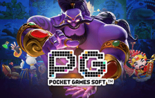 PG POCKET GAMES SOFT